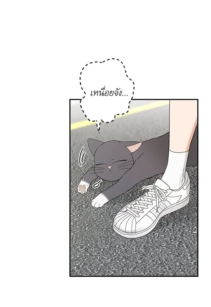 My One and Only Cat ตอนที่ 6105