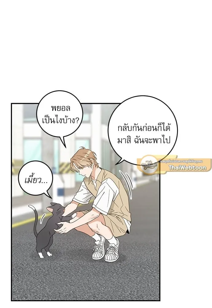 My One and Only Cat ตอนที่ 6106