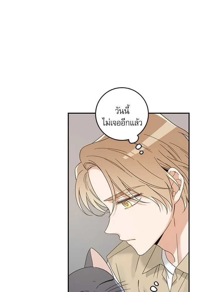 My One and Only Cat ตอนที่ 6107