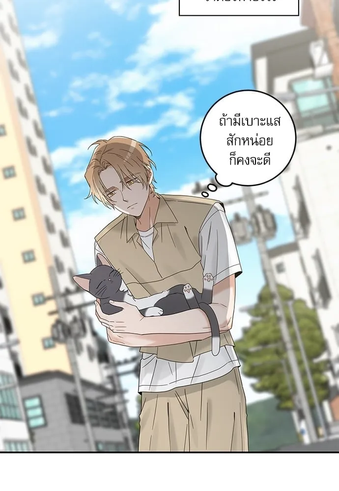 My One and Only Cat ตอนที่ 6109