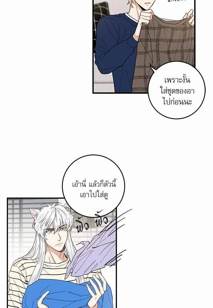 My One and Only Cat ตอนที่ 611 My One and Only Cat ตอนที่ 611