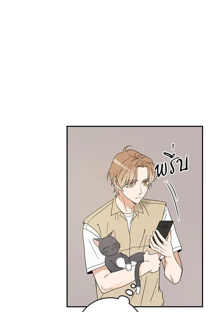 My One and Only Cat ตอนที่ 6111