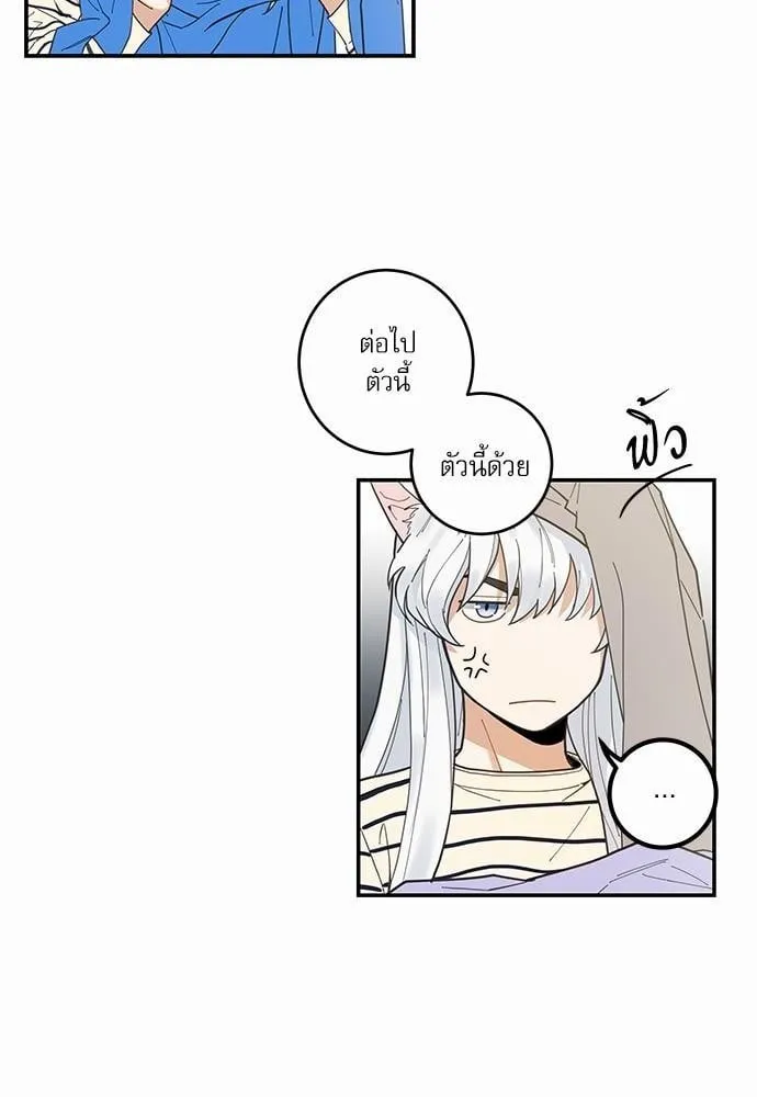 My One and Only Cat ตอนที่ 612 My One and Only Cat ตอนที่ 612