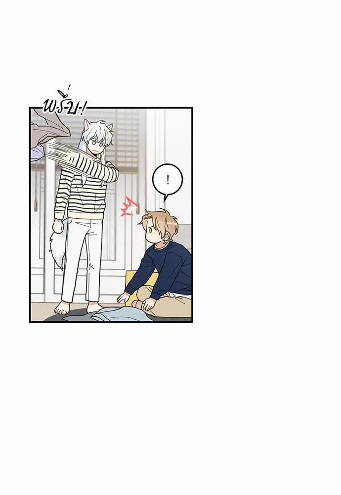 My One and Only Cat ตอนที่ 613 My One and Only Cat ตอนที่ 613