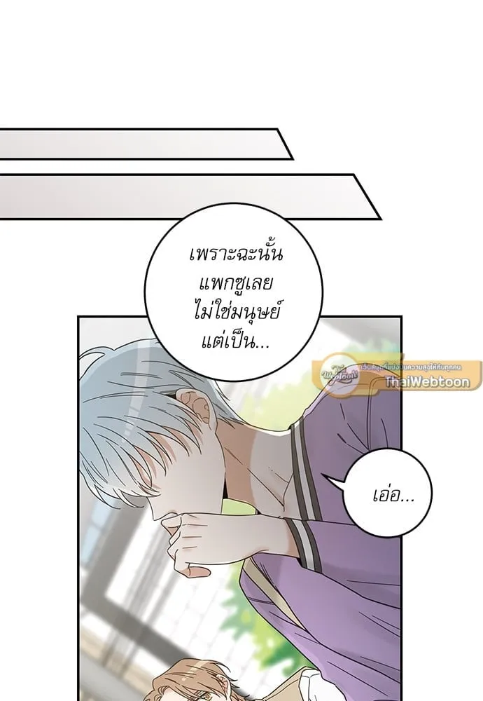 My One and Only Cat ตอนที่ 6132