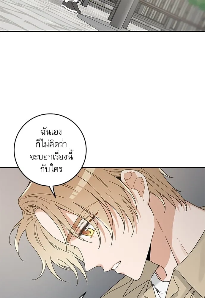 My One and Only Cat ตอนที่ 6134