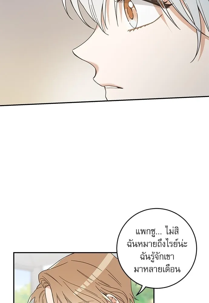 My One and Only Cat ตอนที่ 6138