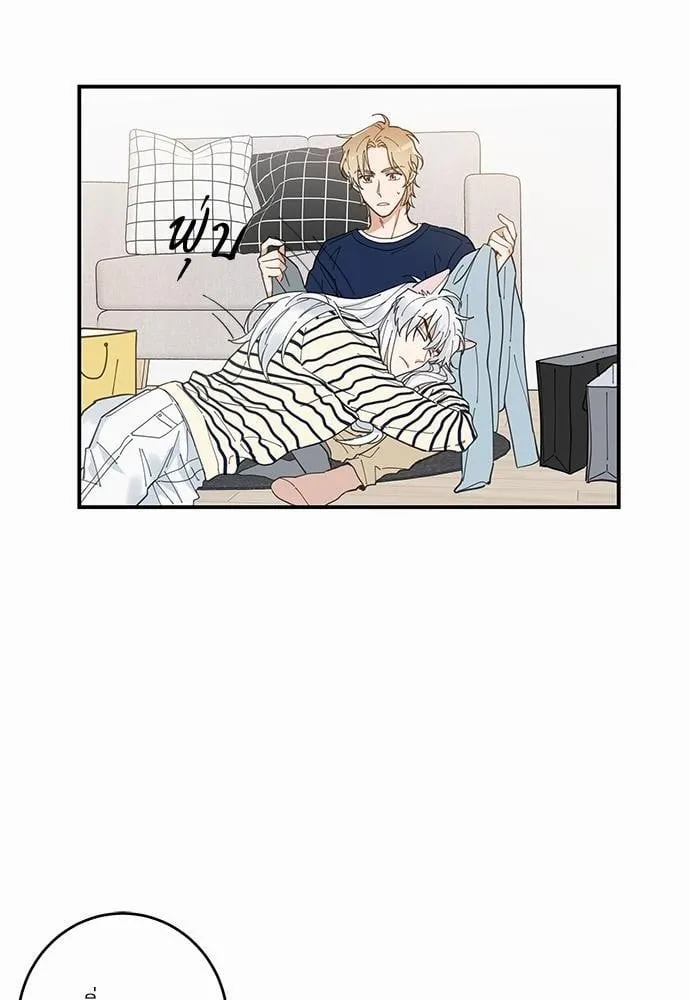 My One and Only Cat ตอนที่ 614 My One and Only Cat ตอนที่ 614