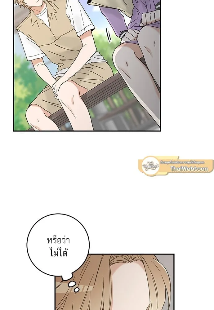 My One and Only Cat ตอนที่ 6145