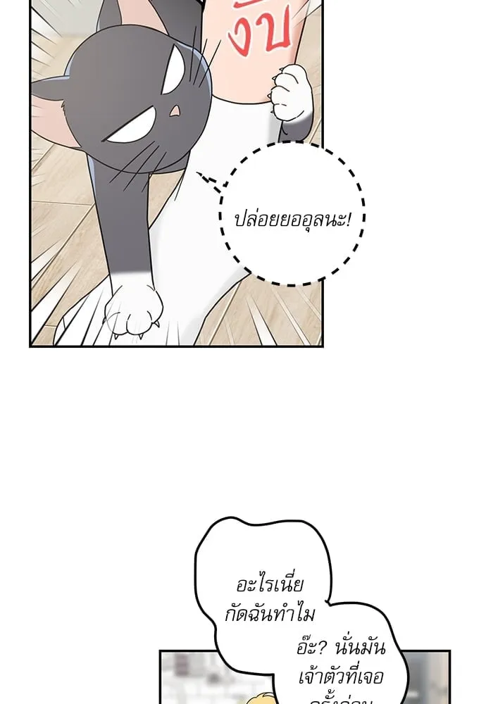 My One and Only Cat ตอนที่ 6157