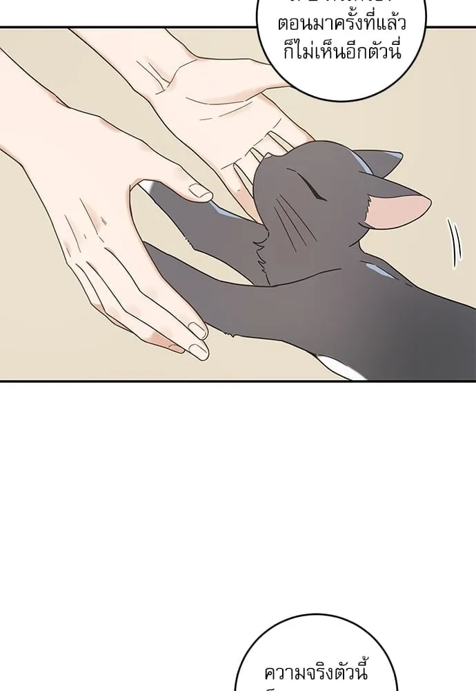 My One and Only Cat ตอนที่ 6159