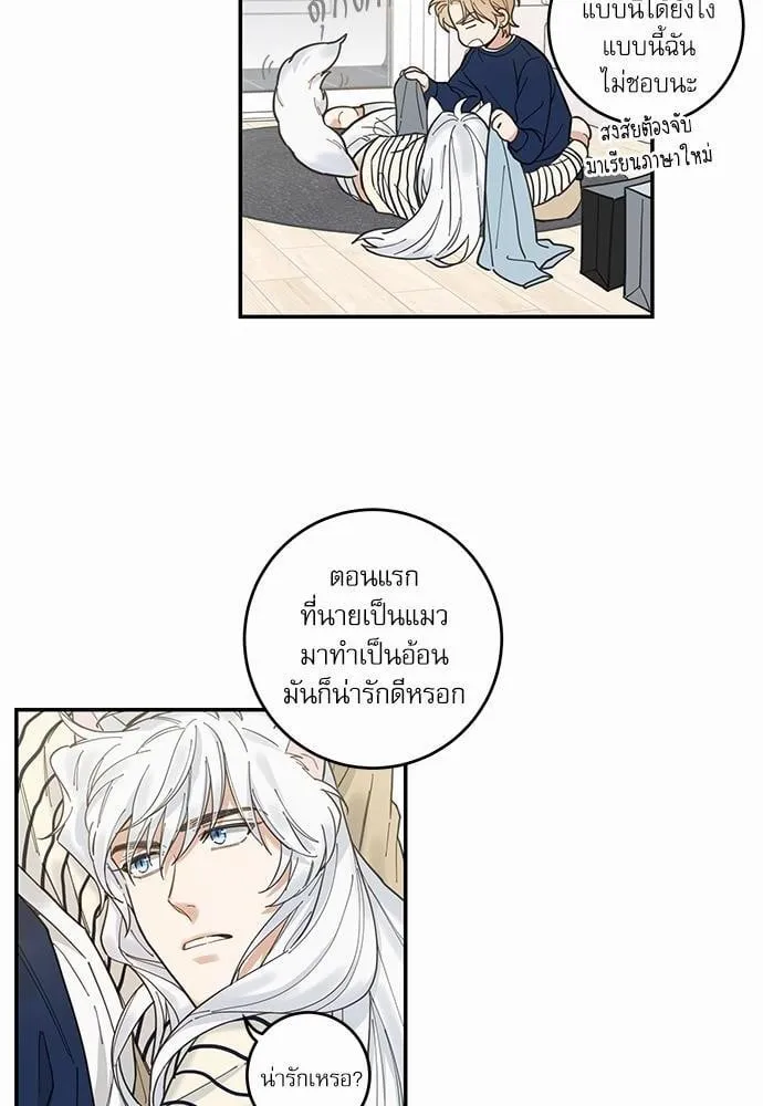 My One and Only Cat ตอนที่ 616 My One and Only Cat ตอนที่ 616