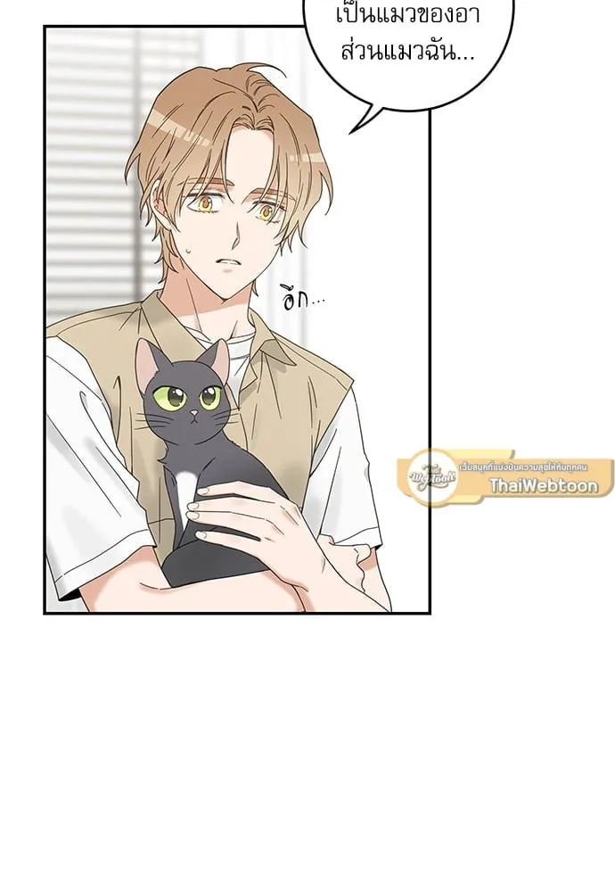 My One and Only Cat ตอนที่ 6160