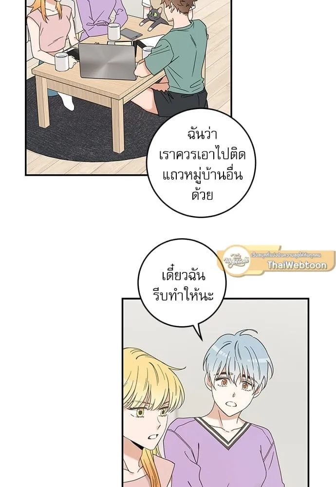 My One and Only Cat ตอนที่ 6164