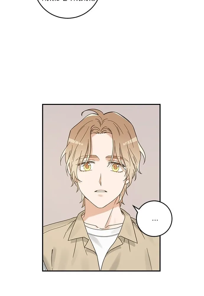 My One and Only Cat ตอนที่ 6166