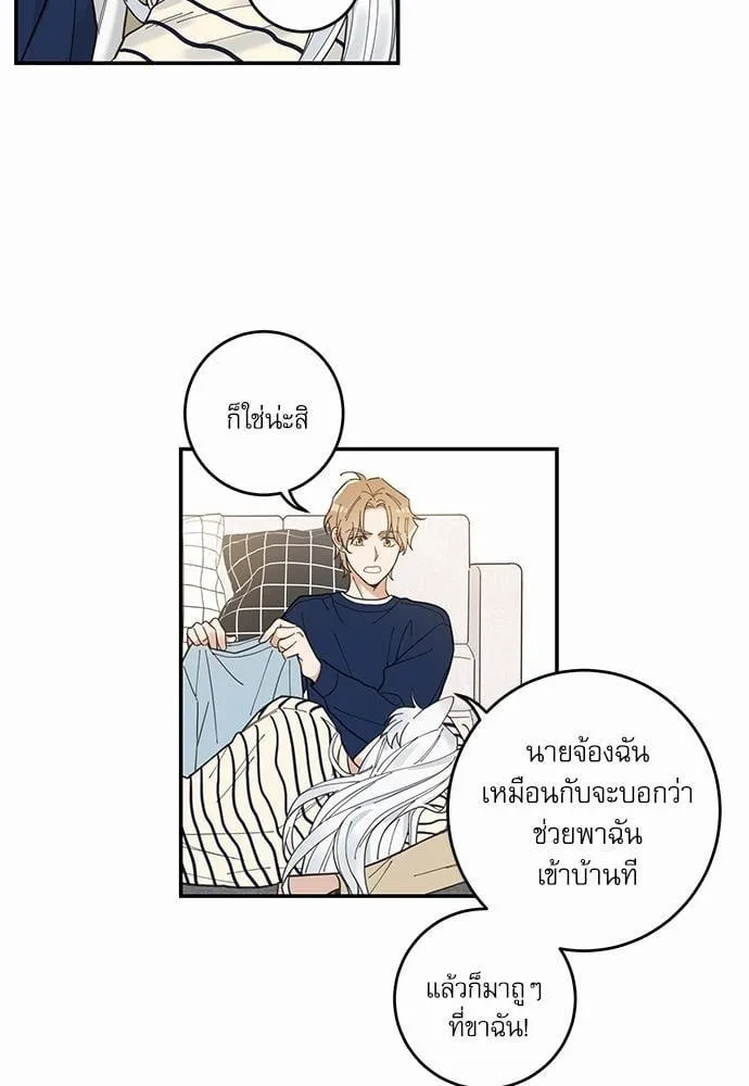 My One and Only Cat ตอนที่ 617 My One and Only Cat ตอนที่ 617