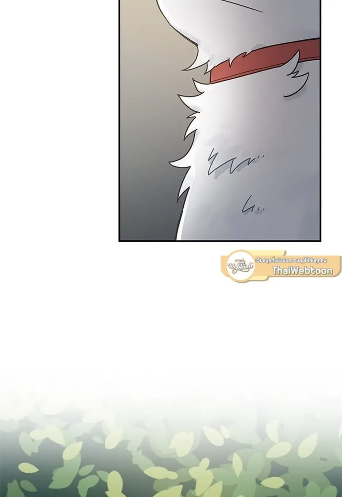 My One and Only Cat ตอนที่ 6177