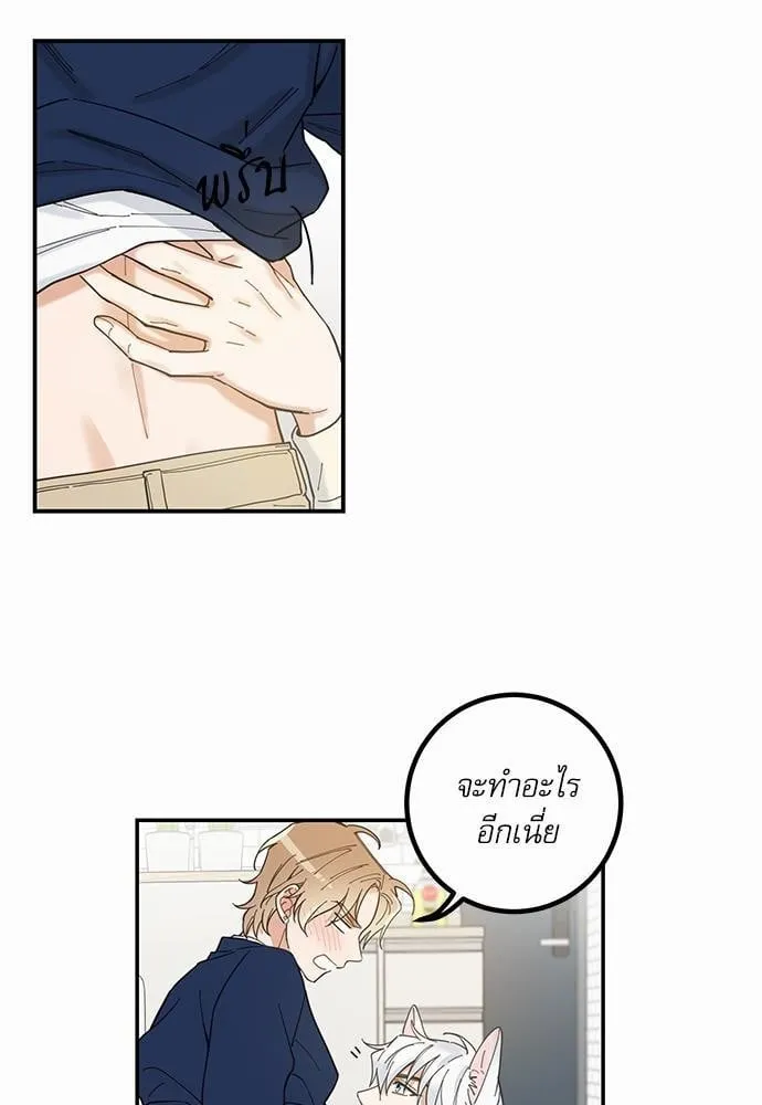 My One and Only Cat ตอนที่ 619 My One and Only Cat ตอนที่ 619