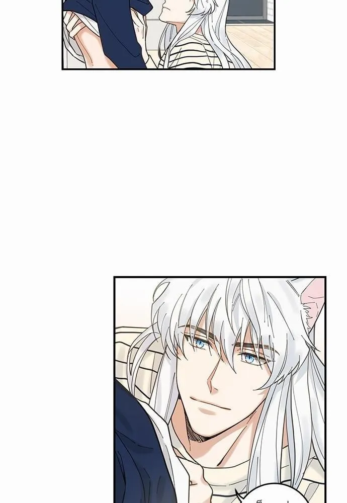 My One and Only Cat ตอนที่ 620 My One and Only Cat ตอนที่ 620