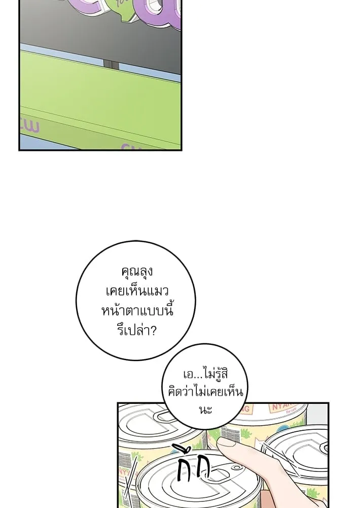 My One and Only Cat ตอนที่ 6202 My One and Only Cat ตอนที่ 6202