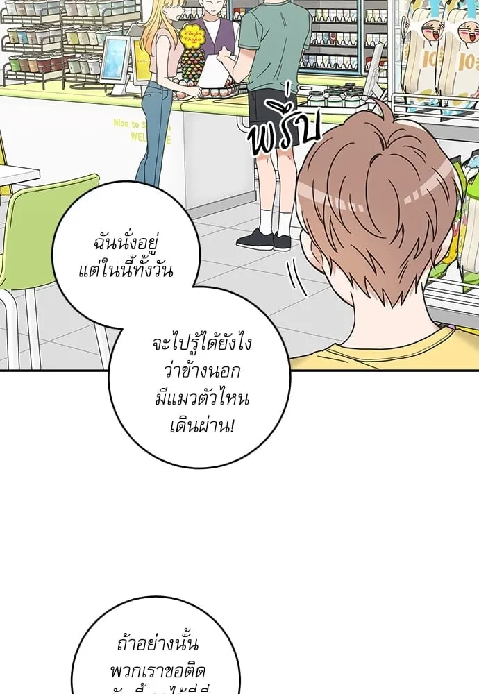 My One and Only Cat ตอนที่ 6204 My One and Only Cat ตอนที่ 6204