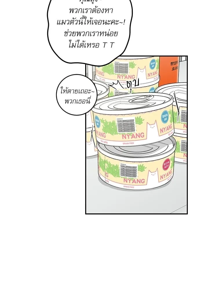 My One and Only Cat ตอนที่ 6206 My One and Only Cat ตอนที่ 6206