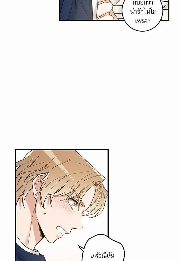 My One and Only Cat ตอนที่ 621 My One and Only Cat ตอนที่ 621