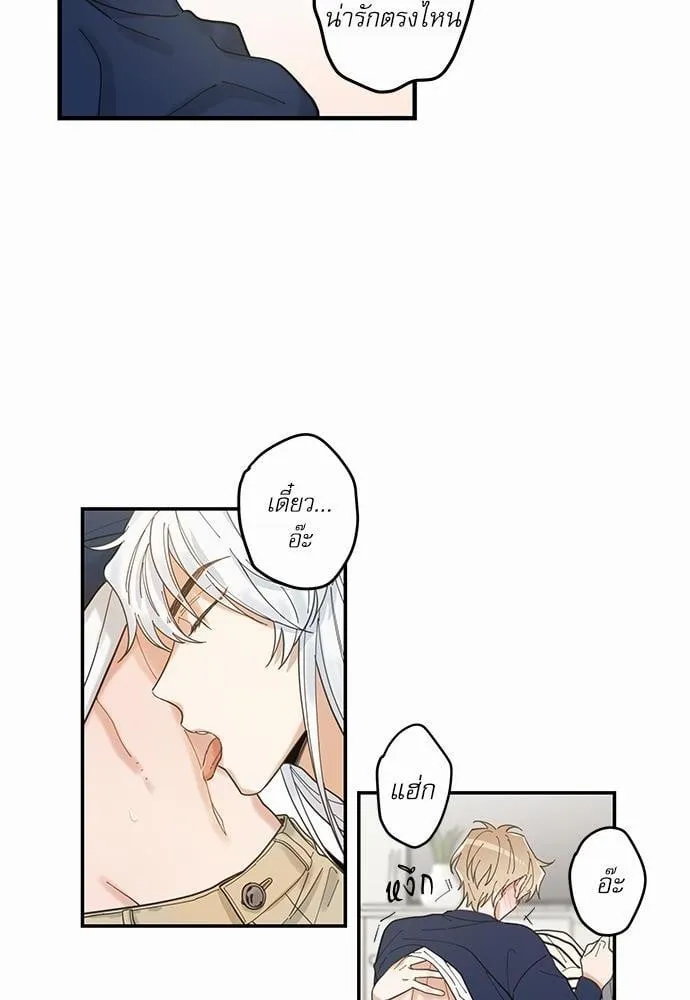 My One and Only Cat ตอนที่ 622 My One and Only Cat ตอนที่ 622