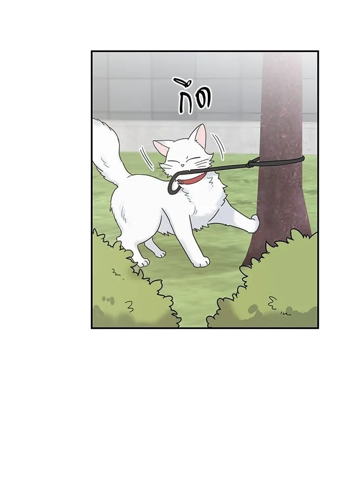 My One and Only Cat ตอนที่ 6220 My One and Only Cat ตอนที่ 6220