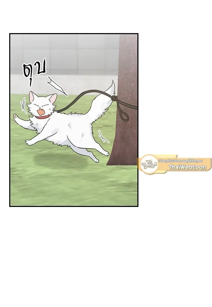 My One and Only Cat ตอนที่ 6221 My One and Only Cat ตอนที่ 6221