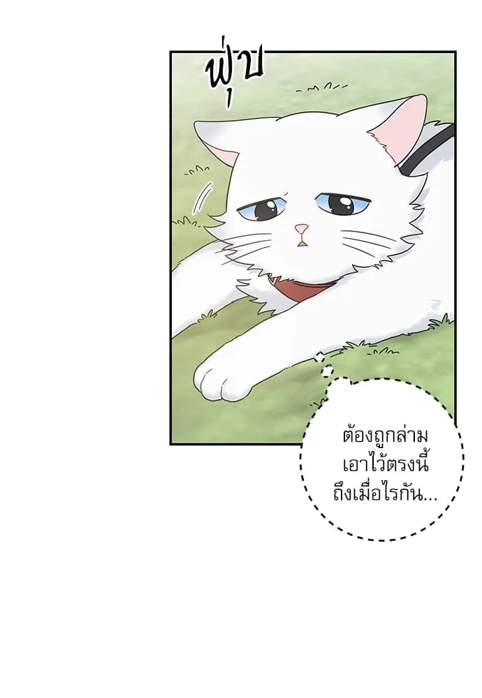 My One and Only Cat ตอนที่ 6222 My One and Only Cat ตอนที่ 6222