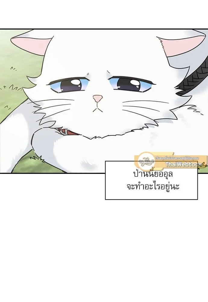 My One and Only Cat ตอนที่ 6223 My One and Only Cat ตอนที่ 6223