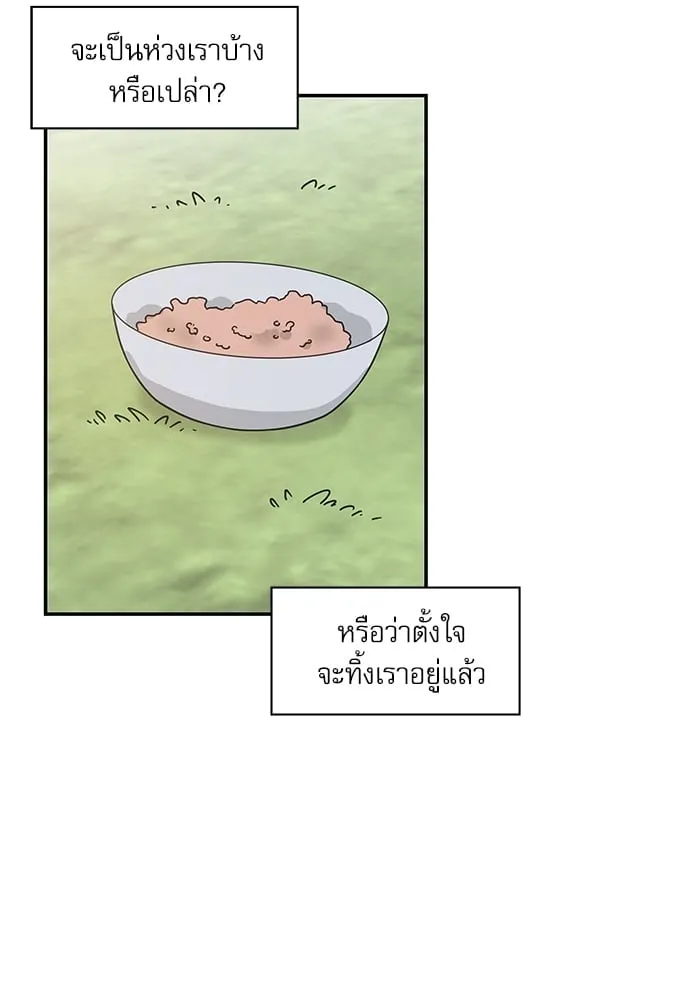 My One and Only Cat ตอนที่ 6224 My One and Only Cat ตอนที่ 6224
