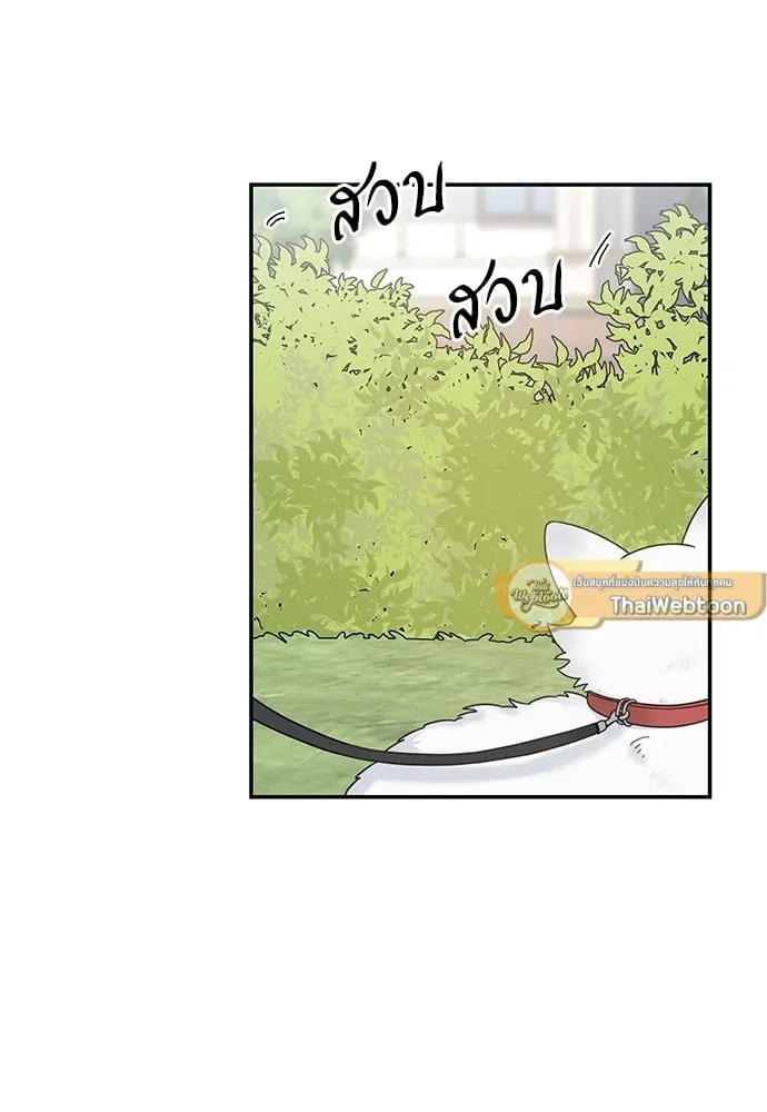 My One and Only Cat ตอนที่ 6225 My One and Only Cat ตอนที่ 6225