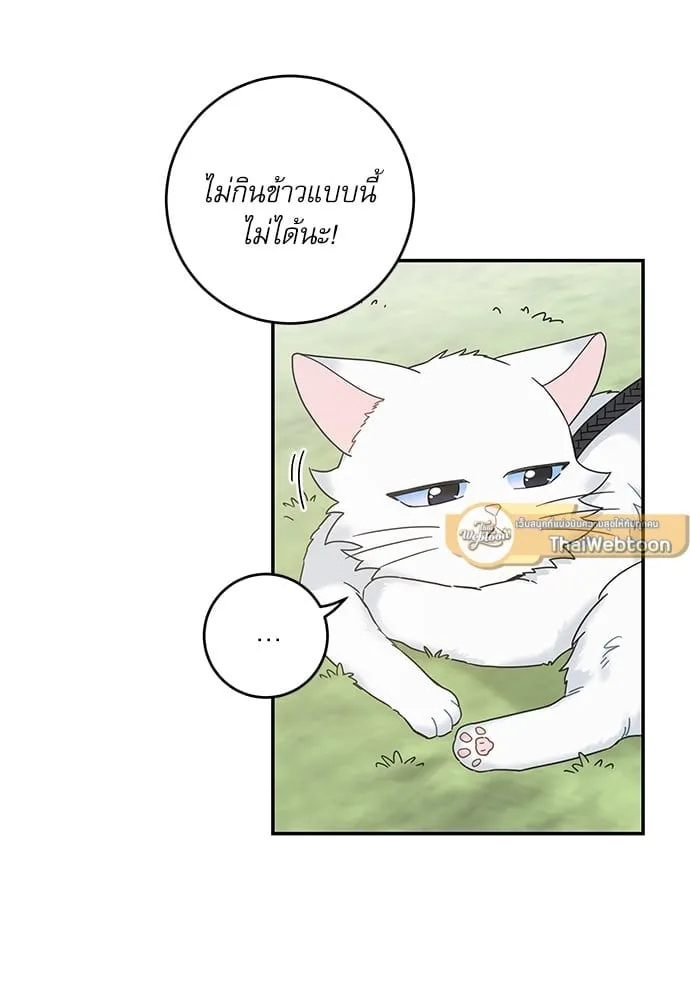 My One and Only Cat ตอนที่ 6227 My One and Only Cat ตอนที่ 6227