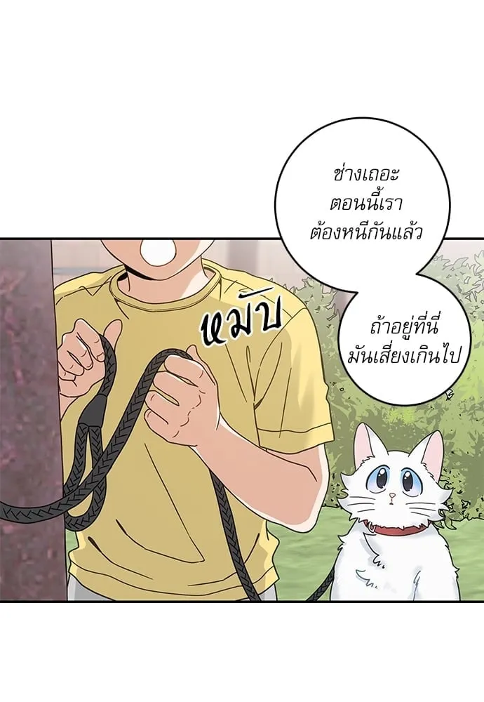 My One and Only Cat ตอนที่ 6228 My One and Only Cat ตอนที่ 6228