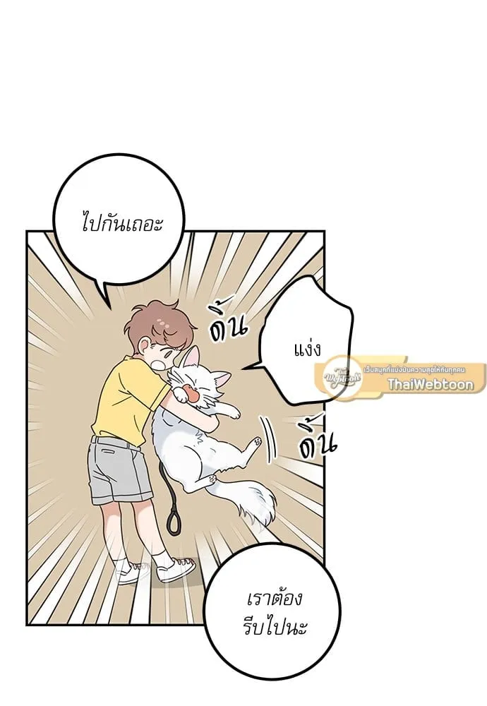 My One and Only Cat ตอนที่ 6229 My One and Only Cat ตอนที่ 6229