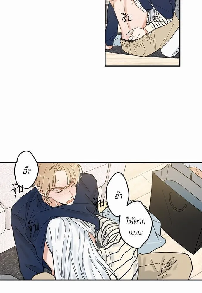 My One and Only Cat ตอนที่ 623 My One and Only Cat ตอนที่ 623