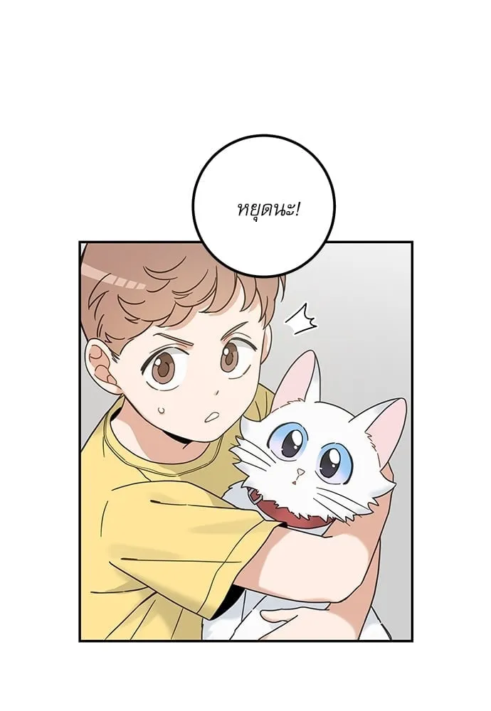 My One and Only Cat ตอนที่ 6230 My One and Only Cat ตอนที่ 6230