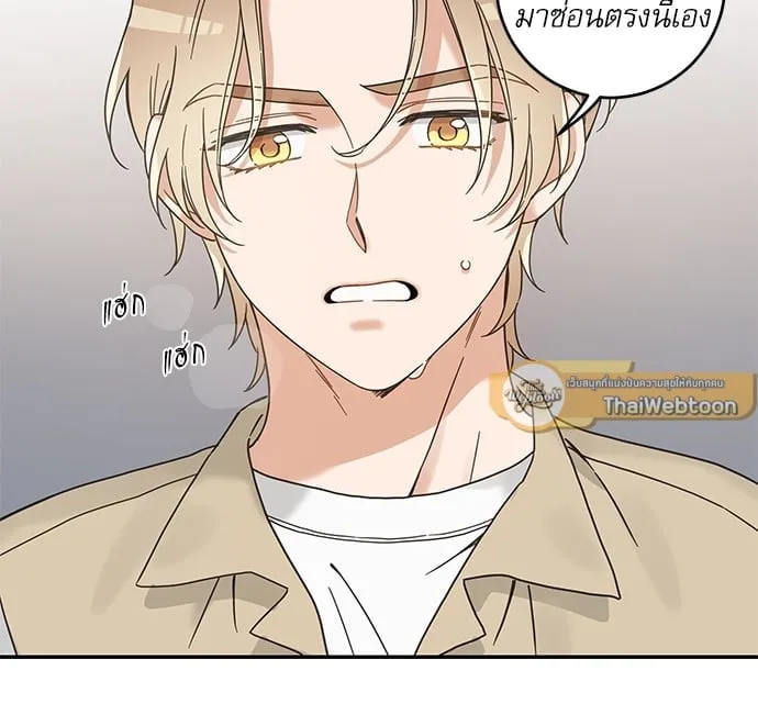 My One and Only Cat ตอนที่ 6233 My One and Only Cat ตอนที่ 6233