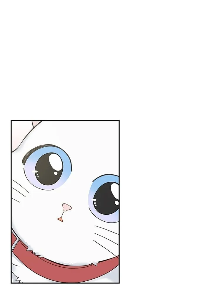 My One and Only Cat ตอนที่ 6234 My One and Only Cat ตอนที่ 6234