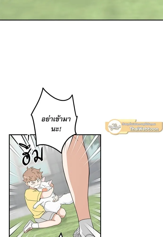 My One and Only Cat ตอนที่ 6237 My One and Only Cat ตอนที่ 6237