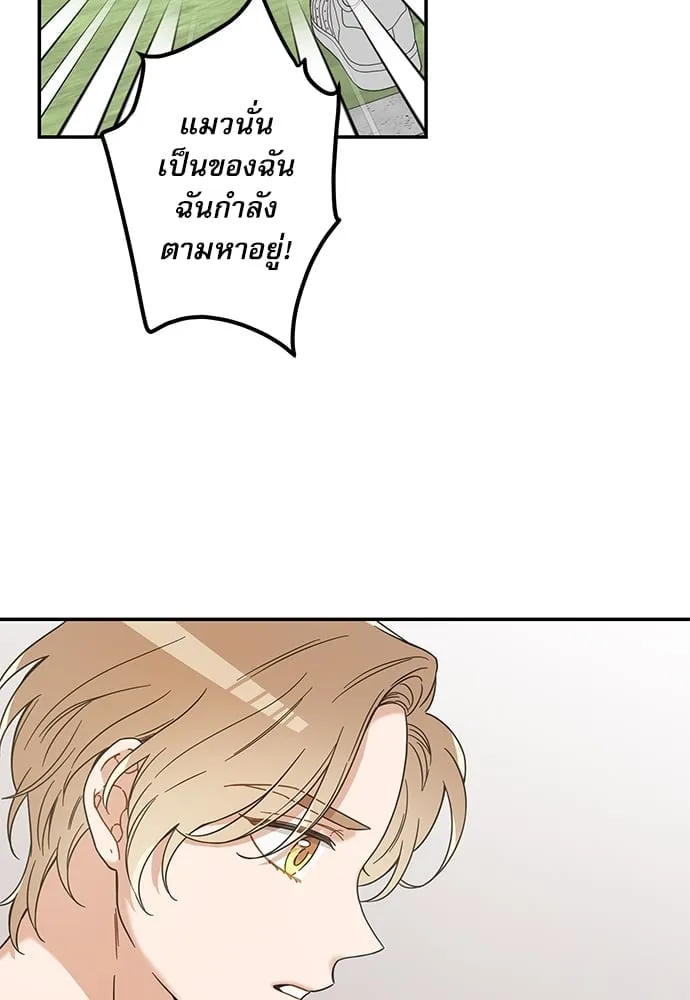 My One and Only Cat ตอนที่ 6238 My One and Only Cat ตอนที่ 6238