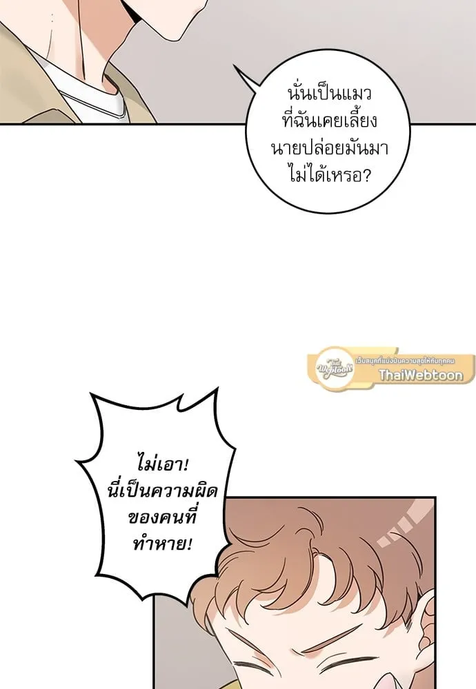 My One and Only Cat ตอนที่ 6239 My One and Only Cat ตอนที่ 6239