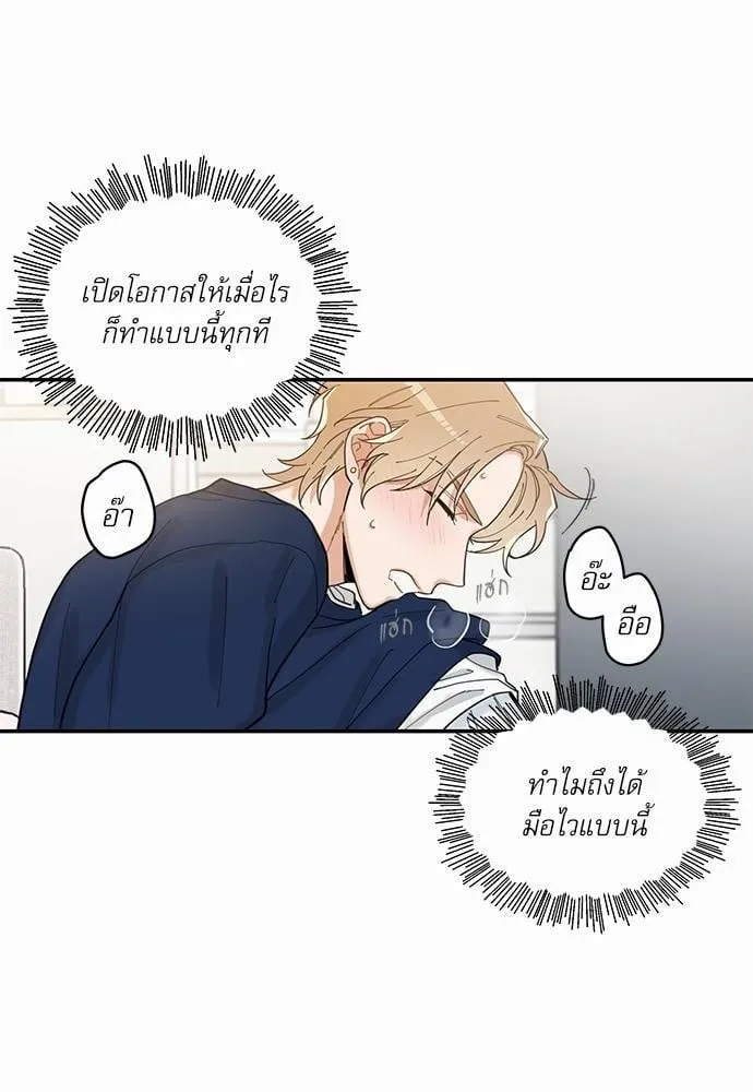 My One and Only Cat ตอนที่ 624 My One and Only Cat ตอนที่ 624