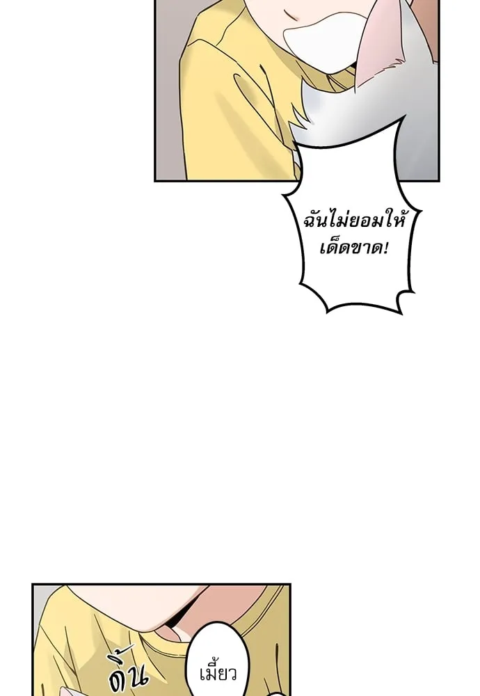 My One and Only Cat ตอนที่ 6240 My One and Only Cat ตอนที่ 6240