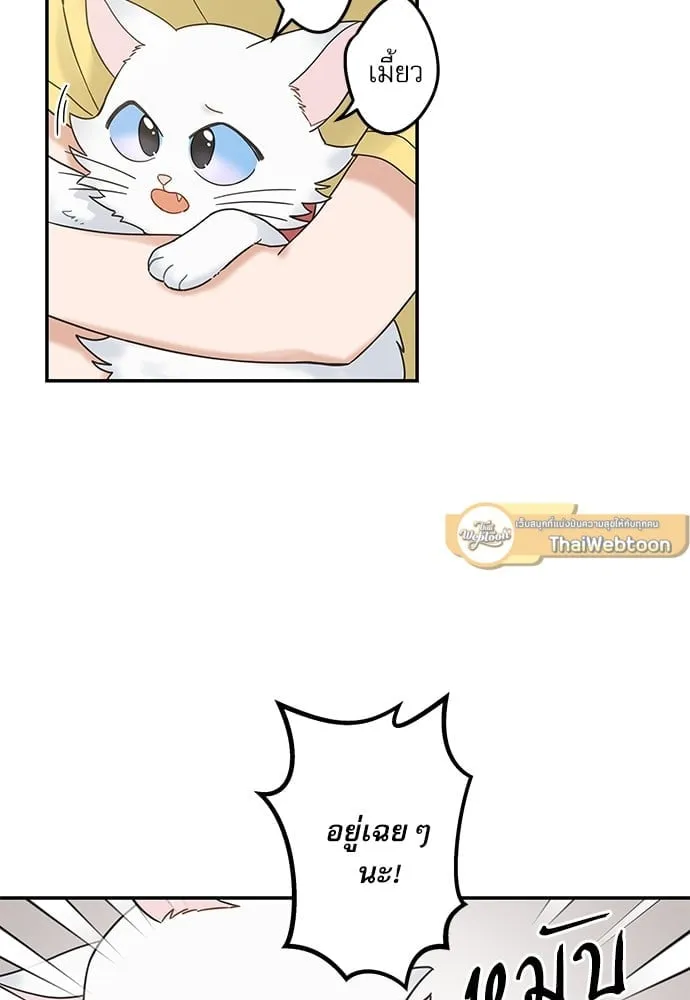 My One and Only Cat ตอนที่ 6241 My One and Only Cat ตอนที่ 6241