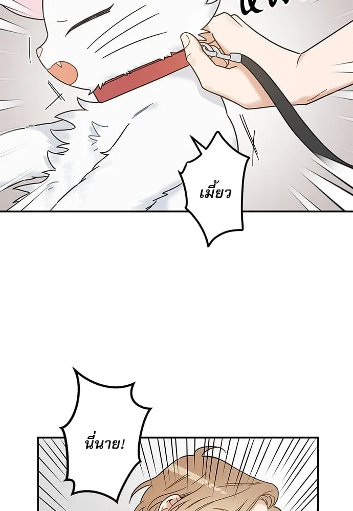 My One and Only Cat ตอนที่ 6242 My One and Only Cat ตอนที่ 6242