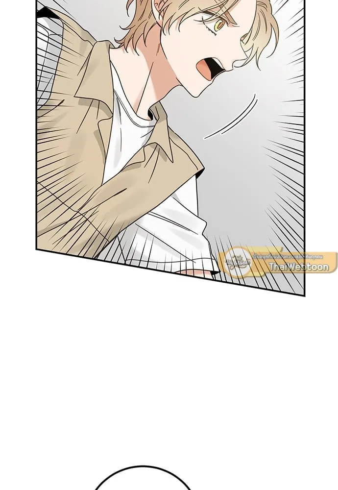 My One and Only Cat ตอนที่ 6243 My One and Only Cat ตอนที่ 6243