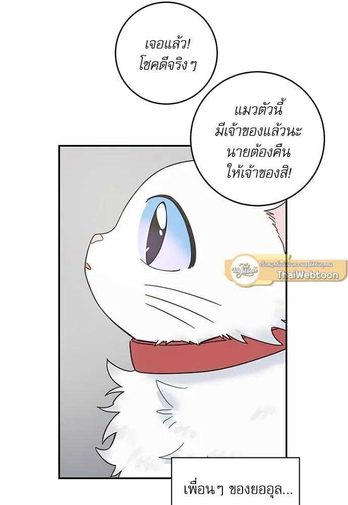 My One and Only Cat ตอนที่ 6245 My One and Only Cat ตอนที่ 6245